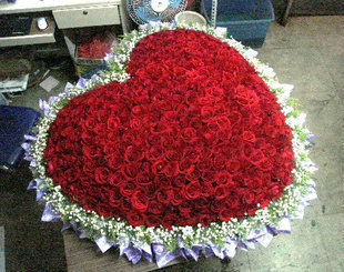 520枝红玫瑰天津花店|鲜花速递|和平区送花|爱