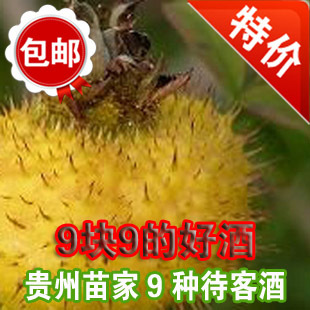  刺梨酒杨梅酒猕猴桃酒葡萄酒枸杞酒红枣酒姜酒糯米酒 9.9【包邮】