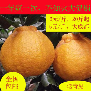  特价促销 现摘 蒲江水果 新鲜 橙子 不知火 丑柑 20斤起 全国包邮