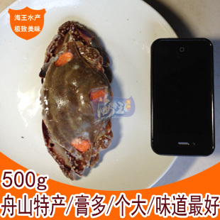  海鲜水产鲜活旺大年醉青梭子咸大闸螃蟹钳糊黄团购现货红膏呛炝蟹