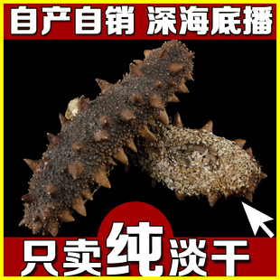  【良心参】海参淡干野生海参纯淡干大连海参刺参辽参海参干货批发
