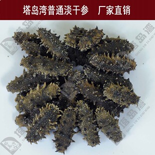  塔岛湾 淡干海参 野生海参 高品质海参干货6-7年野生刺参 50g