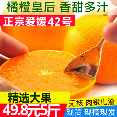 爱媛42号果冻橙新鲜现摘水果橙子四川特产柑橘脐橙手剥橙整箱包邮在类目 水产肉类/新鲜蔬果/熟食, 新鲜水果, 橙中 - 来自Buy2taobao.com提供专业的淘宝代购服务