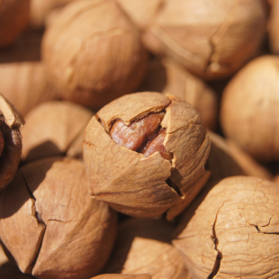  浙江特产临安山核桃手剥200g 奶油椒盐 坚果炒货干果