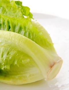 蔬菜沙拉Salad沙拉酱生菜新鲜色拉 意大利意式罗曼罗马西式生菜