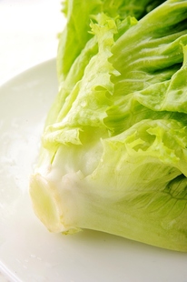  蔬菜沙拉Salad沙拉酱生菜新鲜色拉 绿叶罗莎绿法式巴达维亚生菜