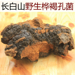  野生桦褐孔菌 桦树泪 桦褐灵芝 白桦茸 糖尿病克星 精选 免费切块