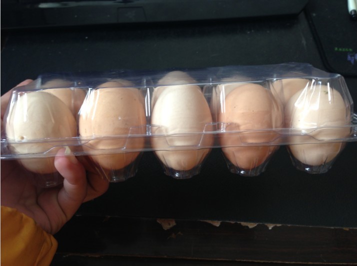 Chicken egg tray, 10 Pieces of equipment gift egg packingin the Outdoor/Mountaineer/Camping/Travel Goods , Stoves/Tableware/Picnic barbecue supplies , Picnic Basket/Egg Blue/Food bags category - from Buy2taobao.com to provide professional Taobao agent buy service