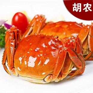  阳澄湖大闸蟹 公螃蟹3.9-4.1两4只母2.8-3.1两4只 直销胡农牌