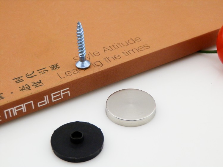 22mm Stainless steel nails ad Glass nail/Mirror nail/Decorative cover/Advertising screws/Acrylic Billboardin the Basic building materials , Home Hardware , Other Hardware , Other Hardware category - from Buy2taobao.com to provide professional Taobao agent buy service