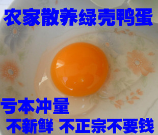  苏北农家散养 麻鸭蛋 绿壳鸭蛋 新鲜土鸭蛋当天现下的发货包退换