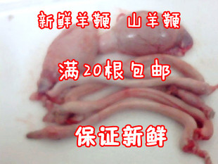  新鲜羊鞭生羊鞭山羊鞭土羊鞭羊蛋羊睾丸另售新鲜羊肉生羊肉山羊肉