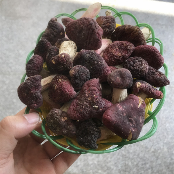 新貨正宗野生大紅菇真紅菇大紅菌月子紅椎菌真紅菇紅蘑菇500g包郵在類目 糧油米麪/南北乾貨/調味品, 南北乾貨/肉類乾貨, 乾貨/土特產, 香菇類中 - 來自Buy2taobao.com提供專業的淘寶代購服務
