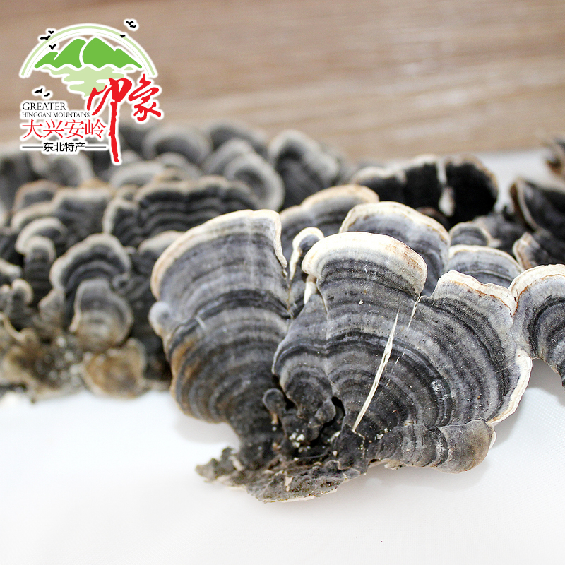 Daxinganling coriolus versicolor Versicolor mushroom Wild Lingzhi Pruning Ganoderma slicein the Traditional nourishing food , Ganoderma , Pruning Ganoderma category - from Buy2taobao.com to provide professional Taobao agent buy service