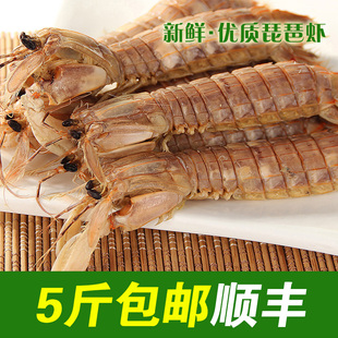  【拇指斗价】5斤包邮顺丰皮皮虾鲜活水产品渤海海鲜琵琶虾富贵虾