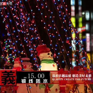  黑线灯串防水粗彩灯装饰灯节日灯庭院灯LED串灯10米100灯各种颜色