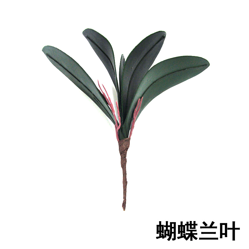 桐鄉格子鋪 絲網花 絲襪花 紙花 紙藤材料 君子蘭葉子 蝴蝶蘭葉子在類目 家居飾品, 花瓶/花器/仿真花/仿真飾品, DIY仿真材料中 - 來自Buy2taobao.com提供專業的淘寶代購服務