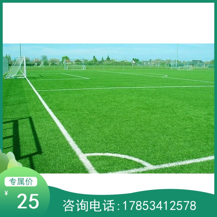 高仿真秋草直曲草阻燃防火人造草坪高尔夫果岭草4cm幼儿园用假草在类目 运动/瑜伽/健身/球迷用品, 游乐场/体育场馆设施, 草地铺设及设备中 - 来自Buy2taobao.com提供专业的淘宝代购服务