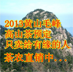  春天喝好茶 年新春茶叶 正宗黄山毛峰 高山毛峰明前茶农直销