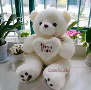 特价送给女朋友 女生的生日礼物 抱心熊 泰迪熊 扬州毛绒玩具