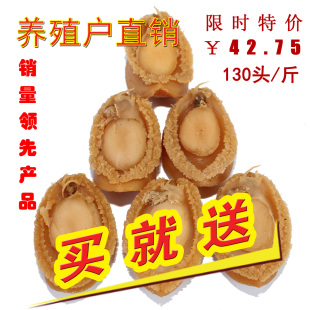  南日岛鲍鱼干 干鲍鱼 130头/斤超划算 自家晒制海鲜干货 安全放心