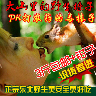  东北野生小榛子（生）（熟）都有批发 孕妇儿童营养坚果250g现炒