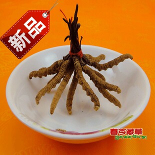  春岑藏草☆西藏那曲正品冬虫夏草1.8条/克 4.1折促销 顶级虫草王