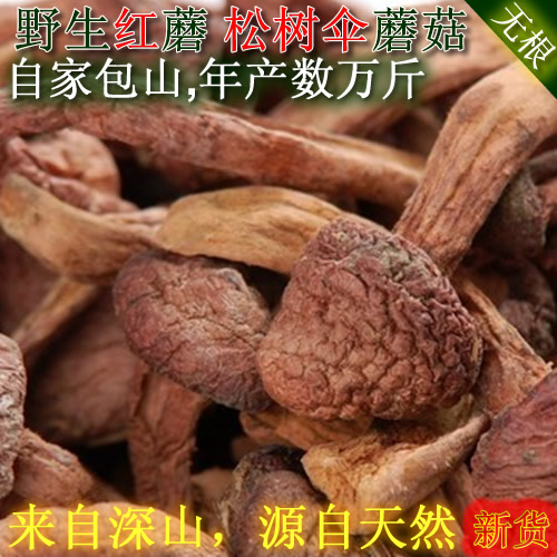 东北特产野生红蘑 松树伞蘑菇红松蘑菇新货 红菇菌菇干货1斤包邮