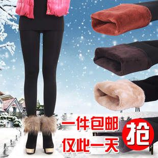  12 秋冬新款 女士打底裤子 九分裤加绒加厚 韩国大码显瘦保暖长裤