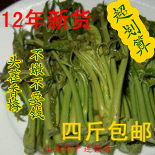  山东腌制头茬香椿芽咸菜 新鲜香椿芽 香椿 酱菜 橄榄菜500g