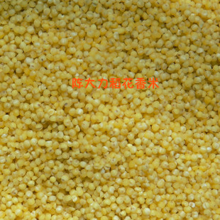  陈大力五常稻花香大米店之小米