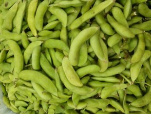  新鲜毛豆 绿色蔬菜 农家毛豆角 盐水清煮烧烤 补脑益智预防高血压