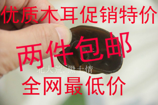  东北特产特级黑木耳秋耳 椴木木耳 碗耳 肉厚 特价一斤包邮