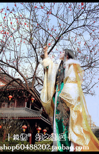 【凤于九天】++ 鹿丹 ++东凡国 国师 人设 套装