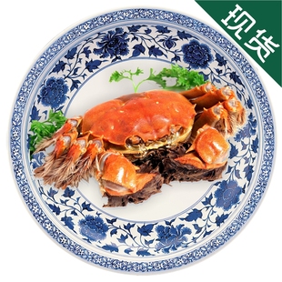  【满9送1】正宗阳澄湖大闸蟹团购 公螃蟹3.5-3.6两 现货 8只起拍