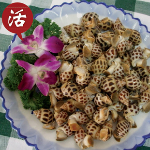  宅鲜配 顶级海螺/活花螺 东风螺  味付螺肉 营养美味海鲜 500g/份