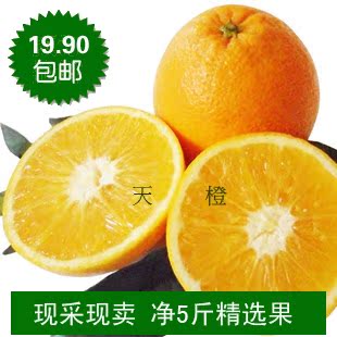  精选优质 赣南脐橙 送礼佳品大果均匀 新鲜水果 净5斤包邮8个装