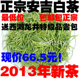  安吉白茶 新茶 高山有机绿茶珍惜白茶 茶农直销茶叶 特价包邮