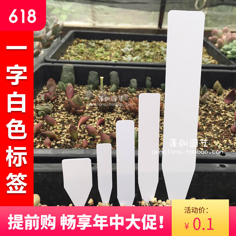 小标签 环保塑料园艺标签多肉一字花卉绿植植物标记 蓬朗园艺|ruв категории доставка цветов/цветок моделирования/растения садоводства, садовых принадлежностей, других садовых принадлежностей - от Buy2taobao.com для оказания профессиональной услуги покупки агента Taobao