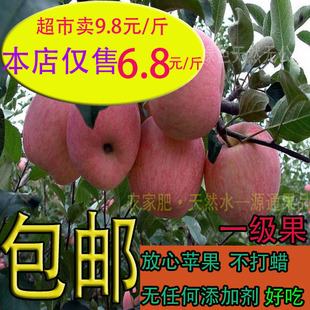  正宗 烟台 苹果 栖霞 红富士苹果 新鲜水果 产地直销 批发 最大果