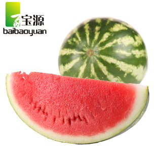  百宝源 新鲜/海南沙瓤薄皮无籽 西瓜 麒麟瓜/水果/特小凤/12斤