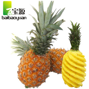  百宝源 新鲜海南三亚香水 菠萝 国产凤梨/水果/3斤