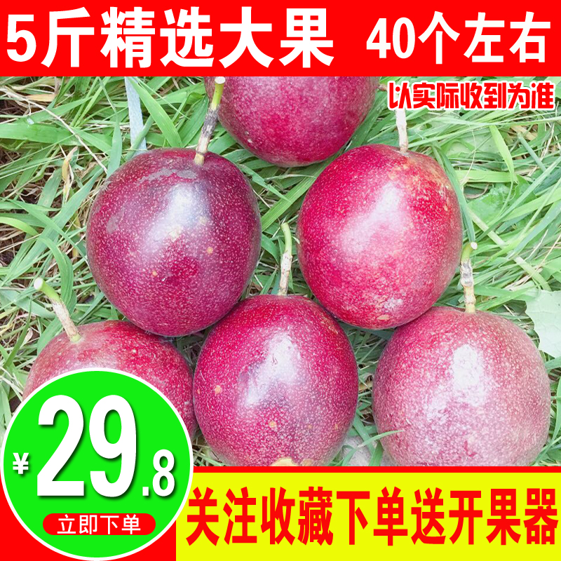 新鲜百香果西番莲鸡蛋果天天现摘现发 水果5斤大红果爽酸甜|msdalam kategori daging perikanan/Buah-buahan segar dan sayur-sayuran/dimasak, buah-buahan segar, lain - dari Buy2taobao.com untuk memberikan perkhidmatan ejen Taobao profesional membeli