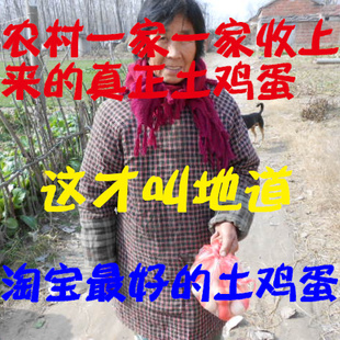  农家散养 土鸡蛋 草鸡蛋 收上来的山笨柴鸡蛋 江浙沪皖60个包邮