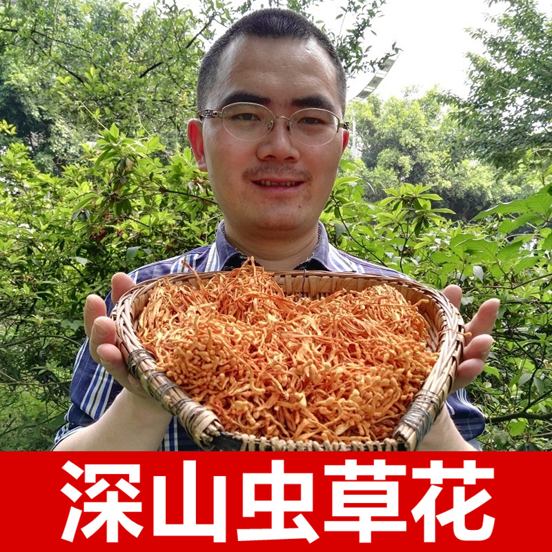 虫草花 北虫草孢子头 干货蛹虫草金北虫草花250g包邮在类目 传统滋补营养品, 其他传统滋补品, 传统滋补品其他中 - 来自Buy2taobao.com提供专业的淘宝代购服务