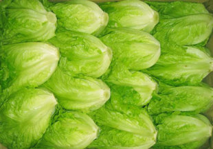  【康达配送】新鲜生菜（200g）杭州主城区次日送达