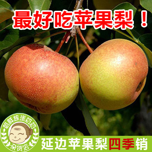  东北延边特产 延边苹果梨 龙井苹果梨  老头沟苹果梨 半斤 超值！