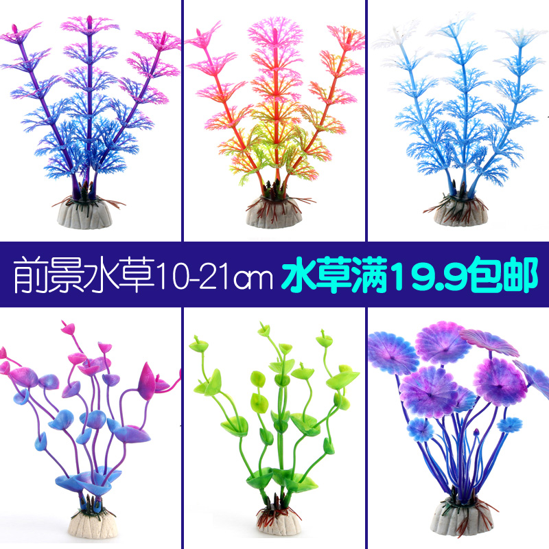 多款热销!绿色小水草 玻璃鱼缸 水族箱造景装饰 仿真水草在类目 宠物/宠物食品及用品, 水族世界, 鱼缸等水族设备, 水草中 - 来自Buy2taobao.com提供专业的淘宝代购服务