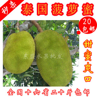  疯抢进口新鲜水果 泰国木菠萝蜜 精选甜蜜肉厚 20斤全国16省包邮