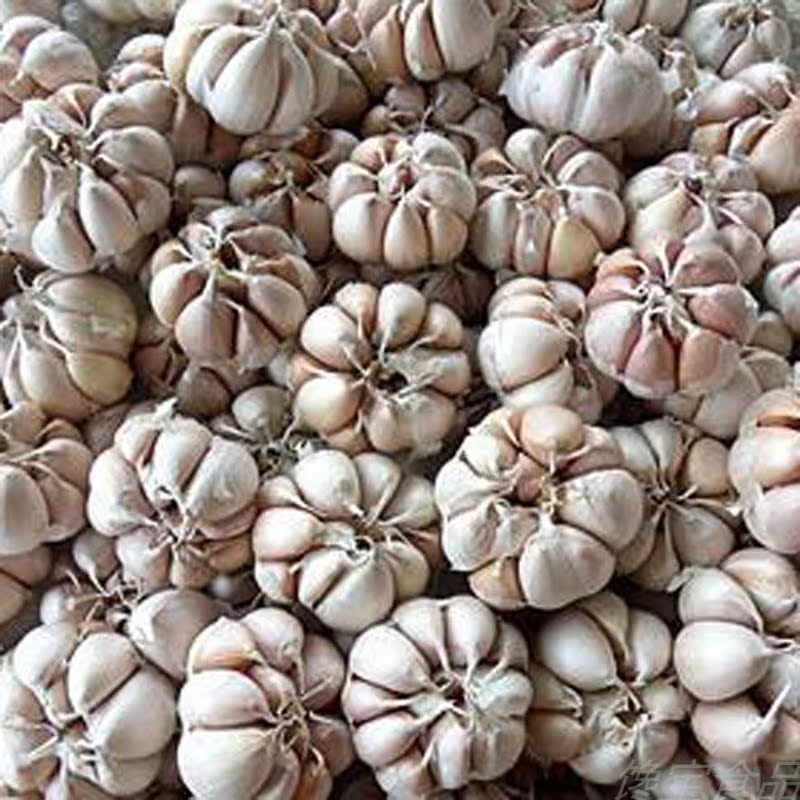Shandong specialty Jinxiang Garlic Garlic 2 Dried Garlic Then Head 500g Ten kilos fullin the Aquatic meat/Fresh fruits and vegetables/Cooked , Fresh vegetables/Vegetable products , Garlic category - from Buy2taobao.com to provide professional Taobao agent buy service